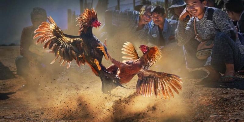 Lựa chọn sảnh trò chơi bất kỳ để thỏa mãn đam mê của bạn