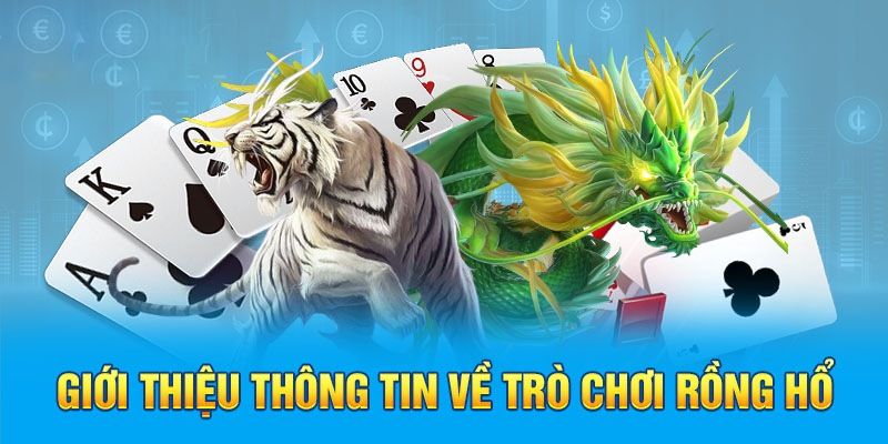 Giới thiệu tổng quan về game rồng hổ Hubet