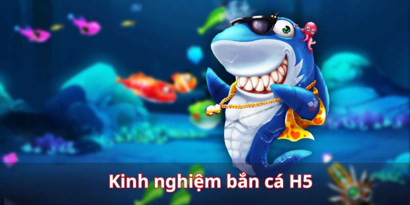 Kinh nghiệm săn cá lão làng từ nhiều ngư thủ trong nghề