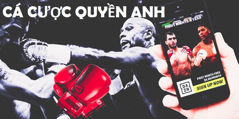 Cá cược boxing mang đến trải nghiệm hồi hộp, hấp dẫn