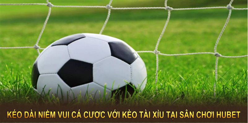 Kéo dài niềm vui cá cược với kèo tài xỉu tại sân chơi HUBET